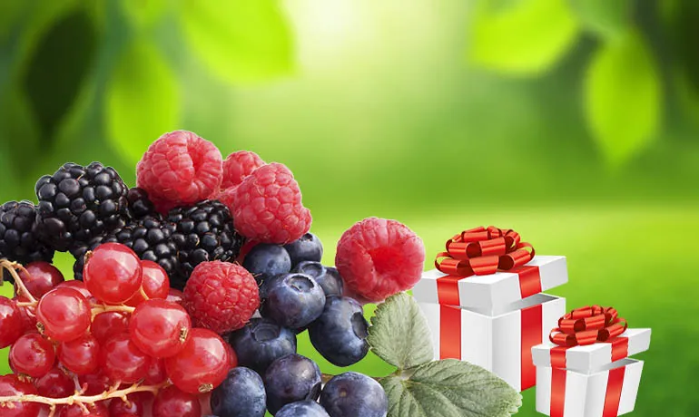 Два подарка вместо одного! Два подарка вместо одного!