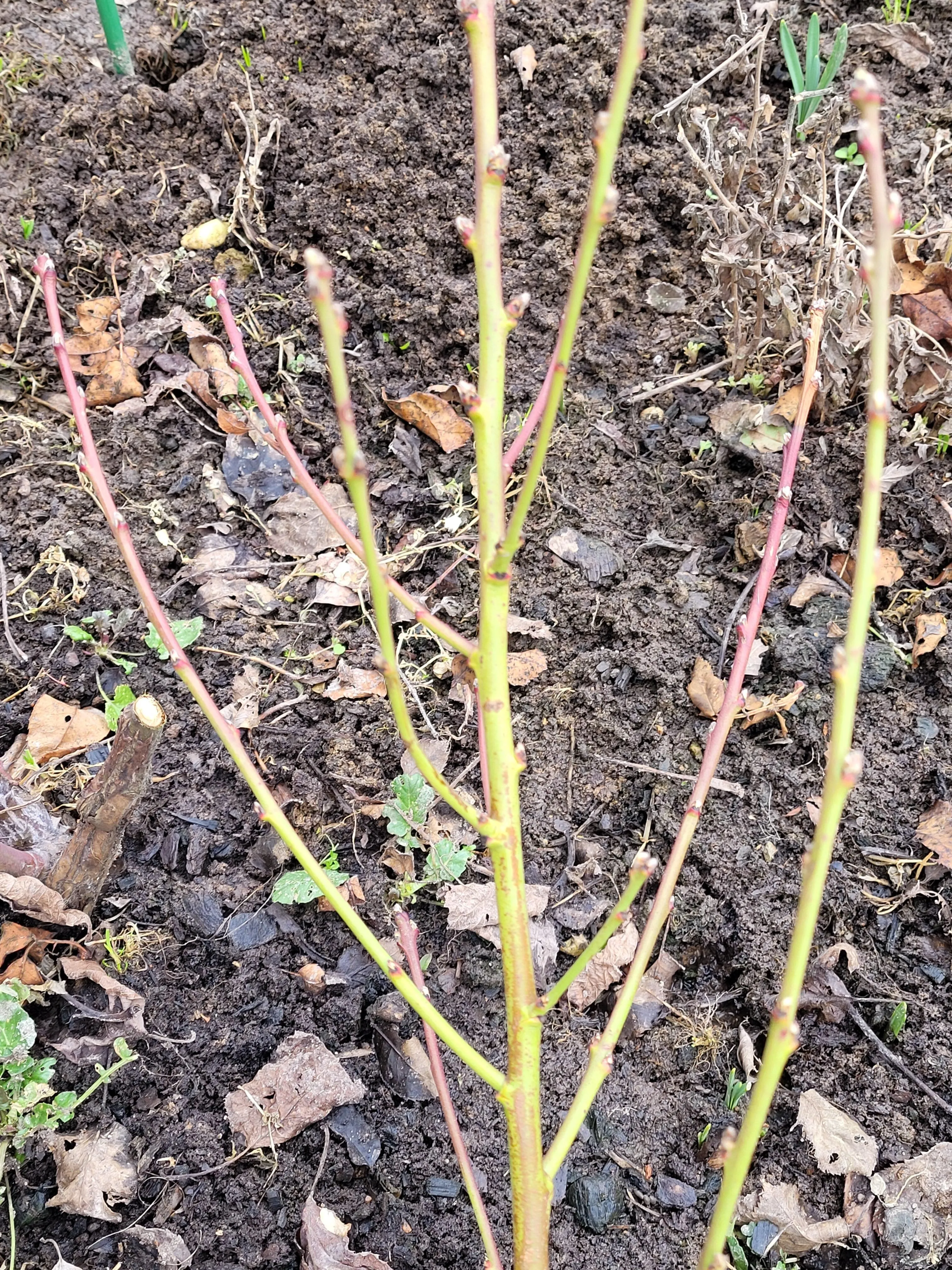 Татьяна Татьяна