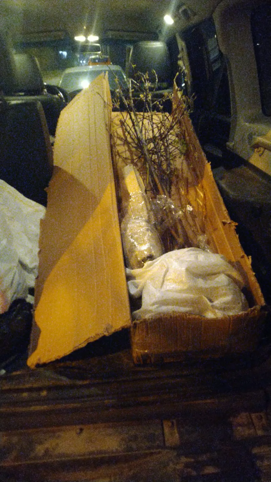 Михаил Михаил