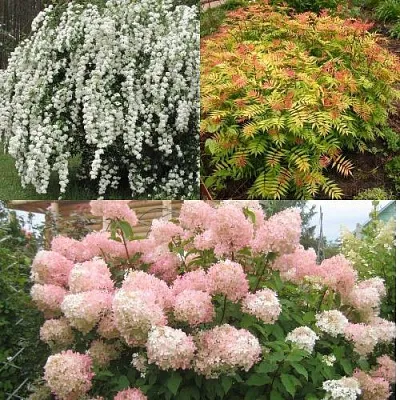 Комплект ФЕЙЕРВЕРК ЛЕТА  Комплект ФЕЙЕРВЕРК ЛЕТА в Москве