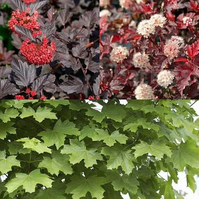 Комплект ОСЕННИЙ КОСТЕР  Комплект ОСЕННИЙ КОСТЕР в Москве