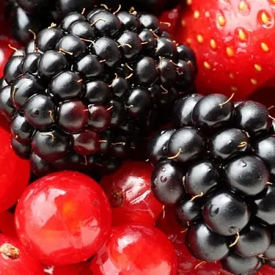 Ежевика  Ежевика в Москве