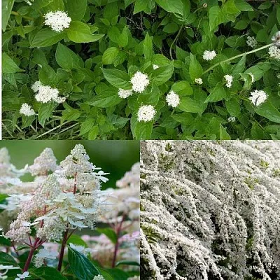 Комплект СКАНДИНАВСКИЙ СТИЛЬ  Комплект СКАНДИНАВСКИЙ СТИЛЬ в Москве