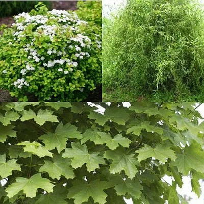 Комплект ЗЕЛЕНЫЙ ОАЗИС  Комплект ЗЕЛЕНЫЙ ОАЗИС в Москве