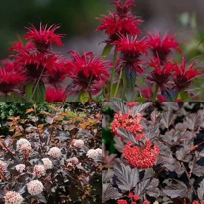 Комплект ОГНЕННЫЙ МИКС  Комплект ОГНЕННЫЙ МИКС в Москве