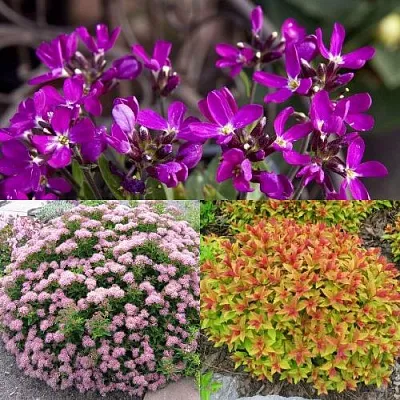 Комплект ЯПОНСКИЙ САД  Комплект ЯПОНСКИЙ САД в Москве