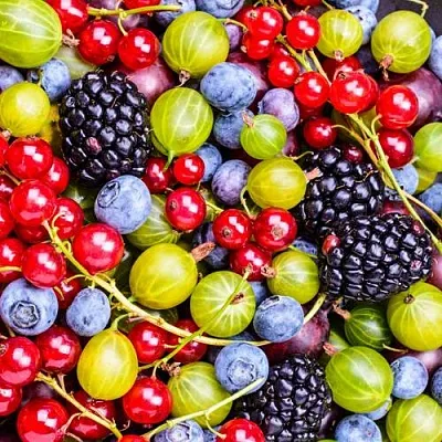 СУПЕР НОВИНКИ  СУПЕР НОВИНКИ в Москве