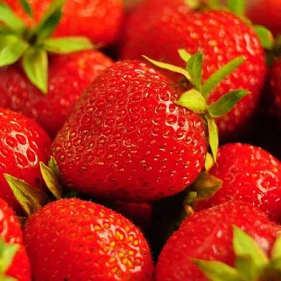 Клубника  Клубника в Москве