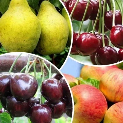 Комплект НАСЛАЖДЕНИЕ в Москве