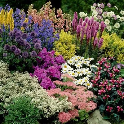 Травы в Москве